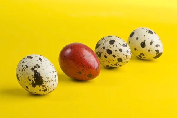 Πολύχρωμα αυγά — Φωτογραφία Αρχείου