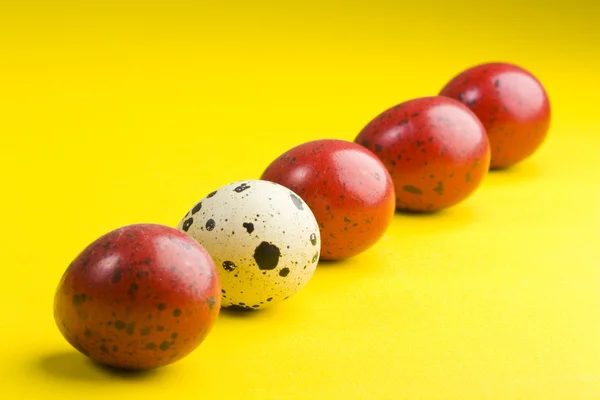 Ovos coloridos — Fotografia de Stock