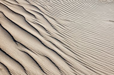 sand dune arka plan
