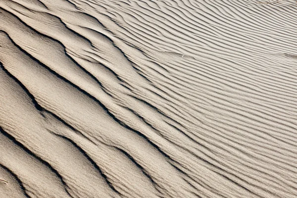 Background from a sand dune — Stock Photo, Image
