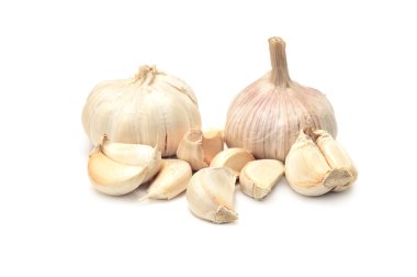 Garlic clipart