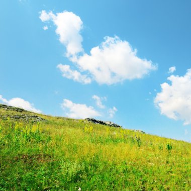 bir çim bir tepe aşırı büyümüş.