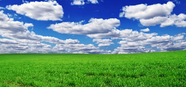 Alan ve mavi gökyüzü — Stok fotoğraf