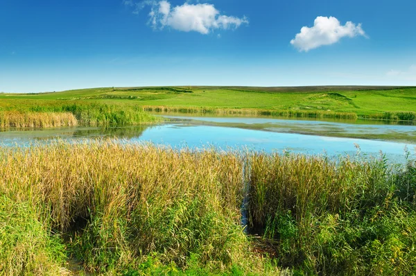 湖と緑のフィールド — ストック写真