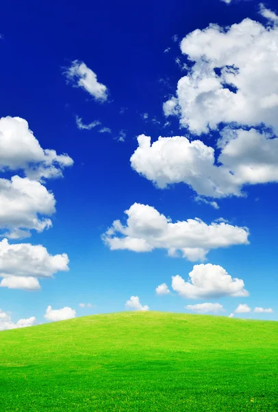 Поле и голубое небо Лицензионные Стоковые Фото
