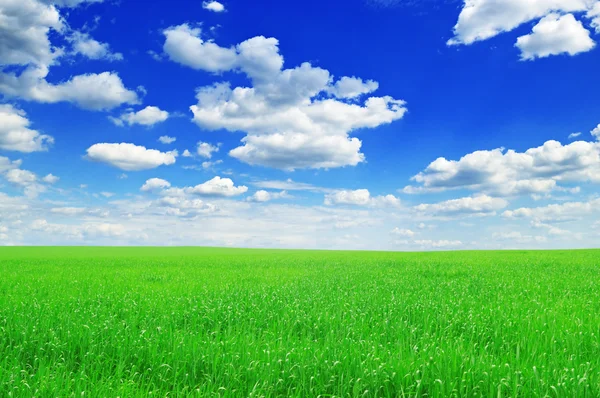 전야와 푸른 하늘 — 스톡 사진