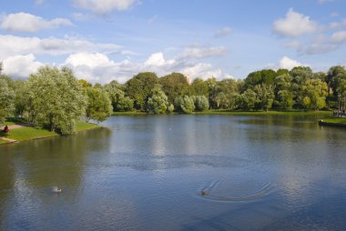 Autumn pond in the park clipart