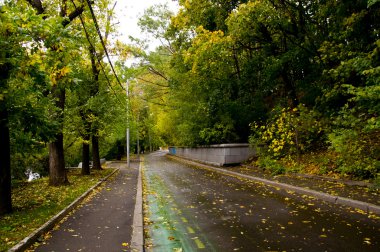 sonbahar park izlemek