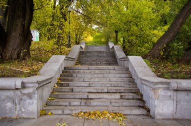 sonbahar park izlemek