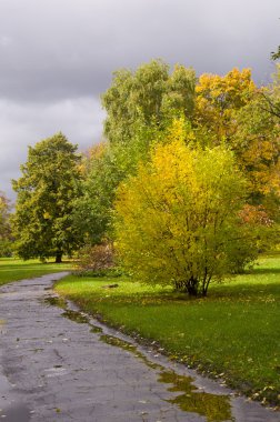 sonbahar park izlemek