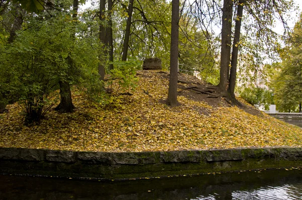 Rybník v podzimním parku — Stock fotografie