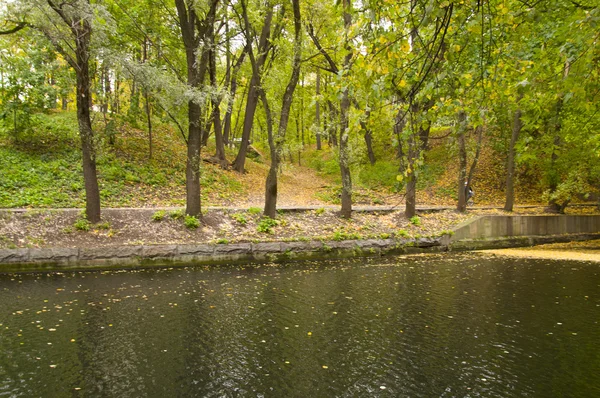 Sonbahar parkında gölet — Stok fotoğraf