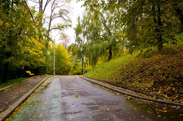 Track in autumn park — Stock Photo, Image