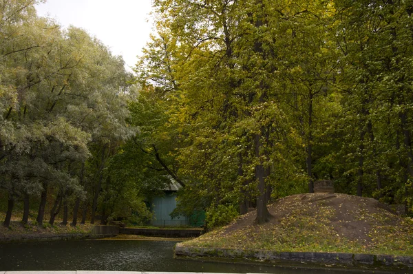 Insel im Teich im Herbstpark — Stockfoto