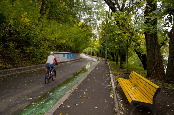 sonbahar park izlemek