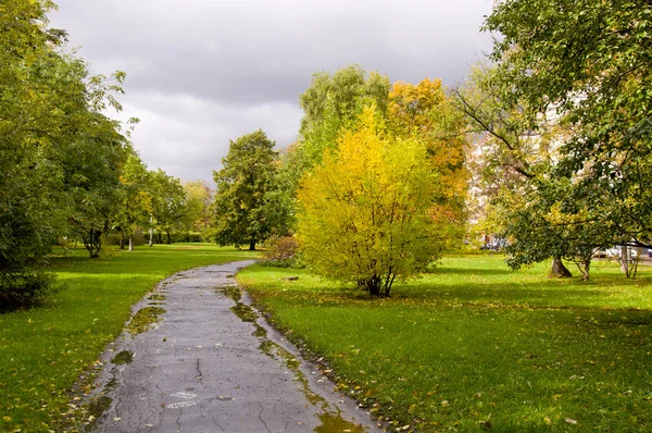 Sledování v podzimním parku — Stock fotografie
