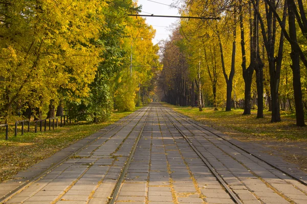 Tramlijn in herfst park — Stockfoto