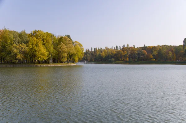 Ostrov v rybníku v podzimním parku — Stock fotografie