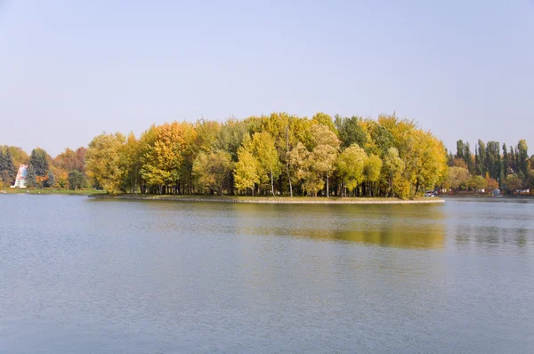 Ostrov v rybníku v podzimním parku — Stock fotografie