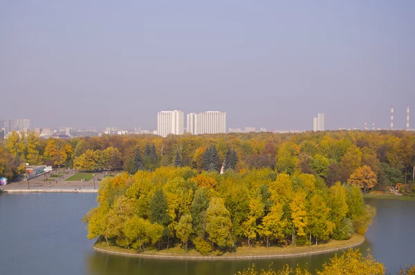 Isla en el estanque en el parque de otoño — Foto de Stock