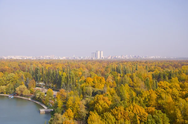 Panorama podzimního parku — Stock fotografie