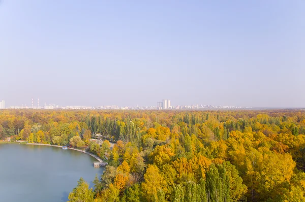 Panorama podzimního parku — Stock fotografie