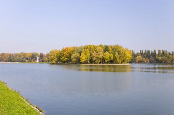秋の公園の池の島 — ストック写真