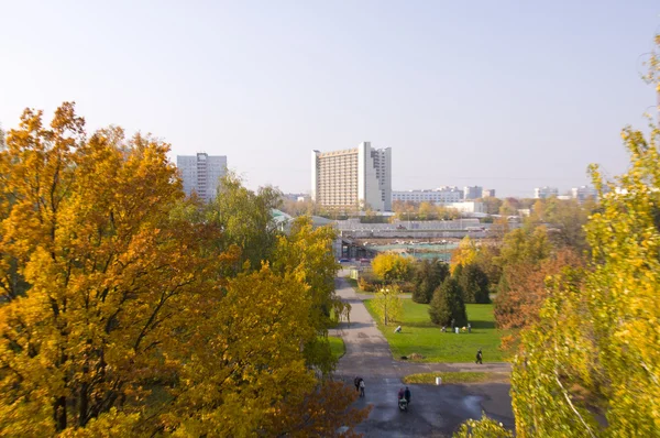 Panorama du parc d'automne — Photo