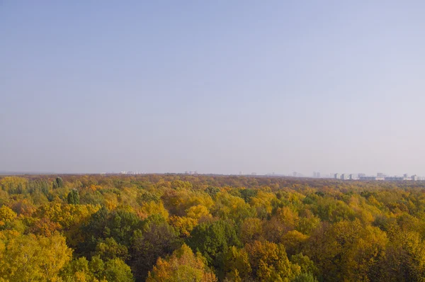 Sonbahar Parkı Panoraması — Stok fotoğraf