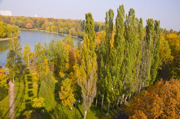 Panorama du parc d'automne — Photo