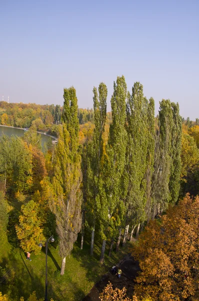 Panorama of the autumn park — Stock Photo, Image