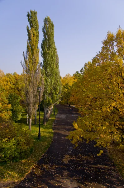 Panorama do Outono Parque — Fotografia de Stock