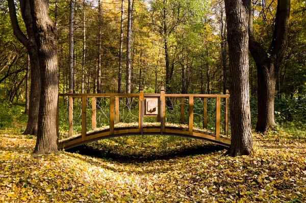 Stopa a dřevěný most v podzimním parku — Stock fotografie