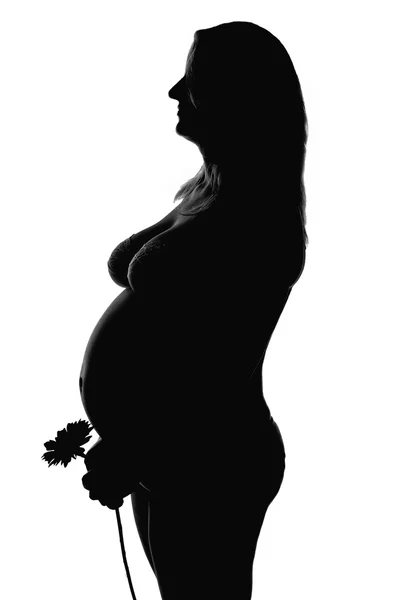 Silhueta de uma mulher grávida — Fotografia de Stock