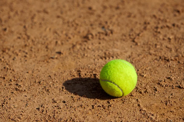Tenis minge . — Fotografie, imagine de stoc