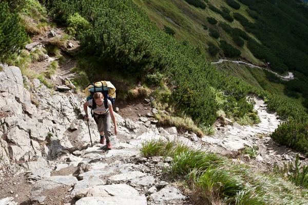 Backpacker menina explorando as montanhas . — Fotografia de Stock