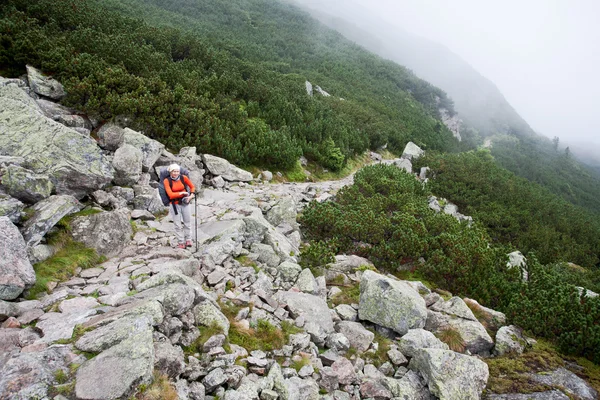 Backpacker κορίτσι να εξερευνήσετε τα βουνά. — Φωτογραφία Αρχείου