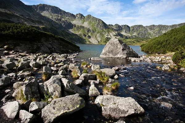 Paisaje de montaña con lago. — Foto de Stock