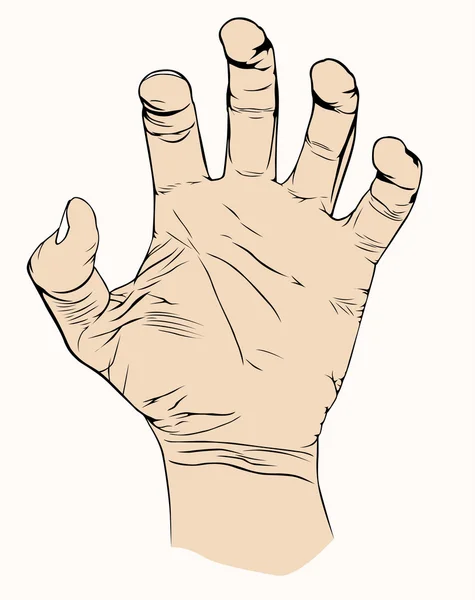 象徴的な手 — ストックベクタ