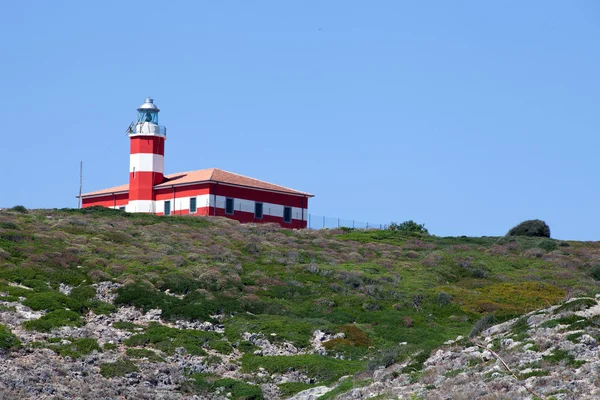 Red Lighthouse - Giannutri Island, Italy — Stock Photo, Image