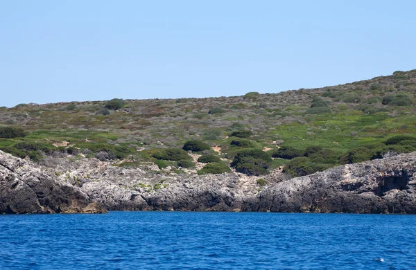 Coast Of Spalmatoi Gulf, Giannutri — Stock Photo, Image