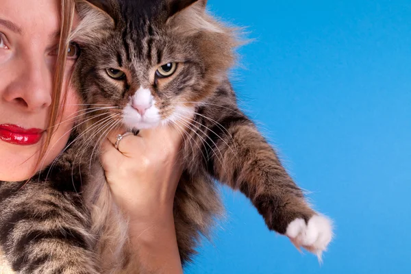 Woman With Cat — Stock Photo, Image