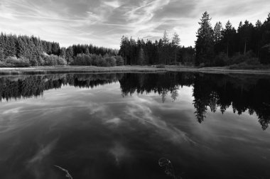 Misty Seascape in Harz. clipart