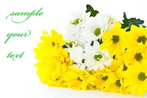 Гарний букет з жовтих хризантем — стокове фото