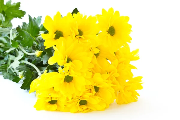 Beautiful bouquet of yellow chrysanthemums — Stock Photo, Image