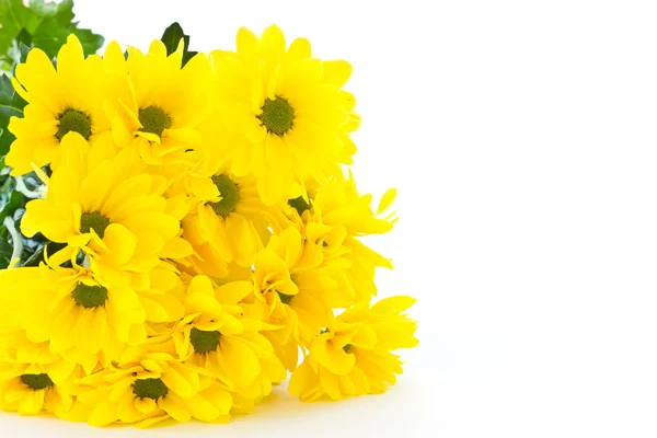Krásná kytice žluté chryzantémy — Stock fotografie
