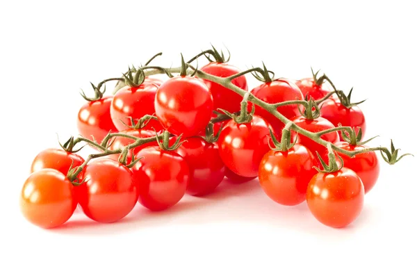 Rama de tomates rojos cereza — Foto de Stock