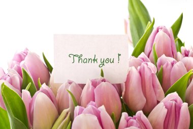 Tulips clipart