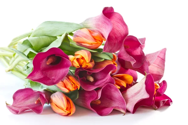 Boeket van calla lelies en tulpen — Stockfoto