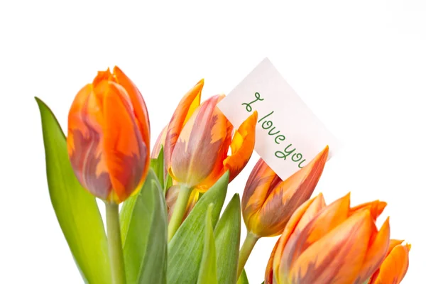 Reddish orange tulips — Stock Photo, Image